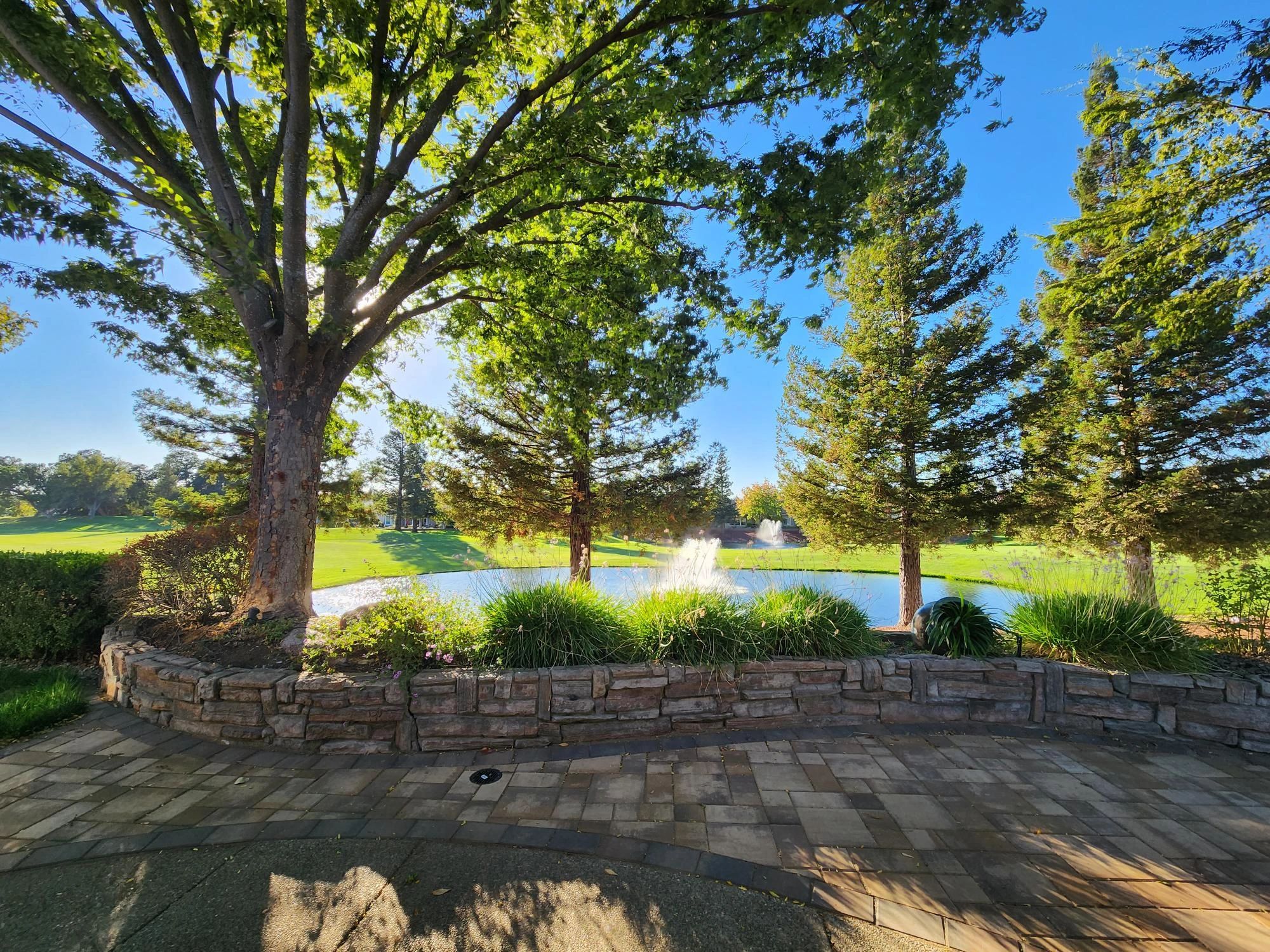 Reliable Landscaping front yard remodel