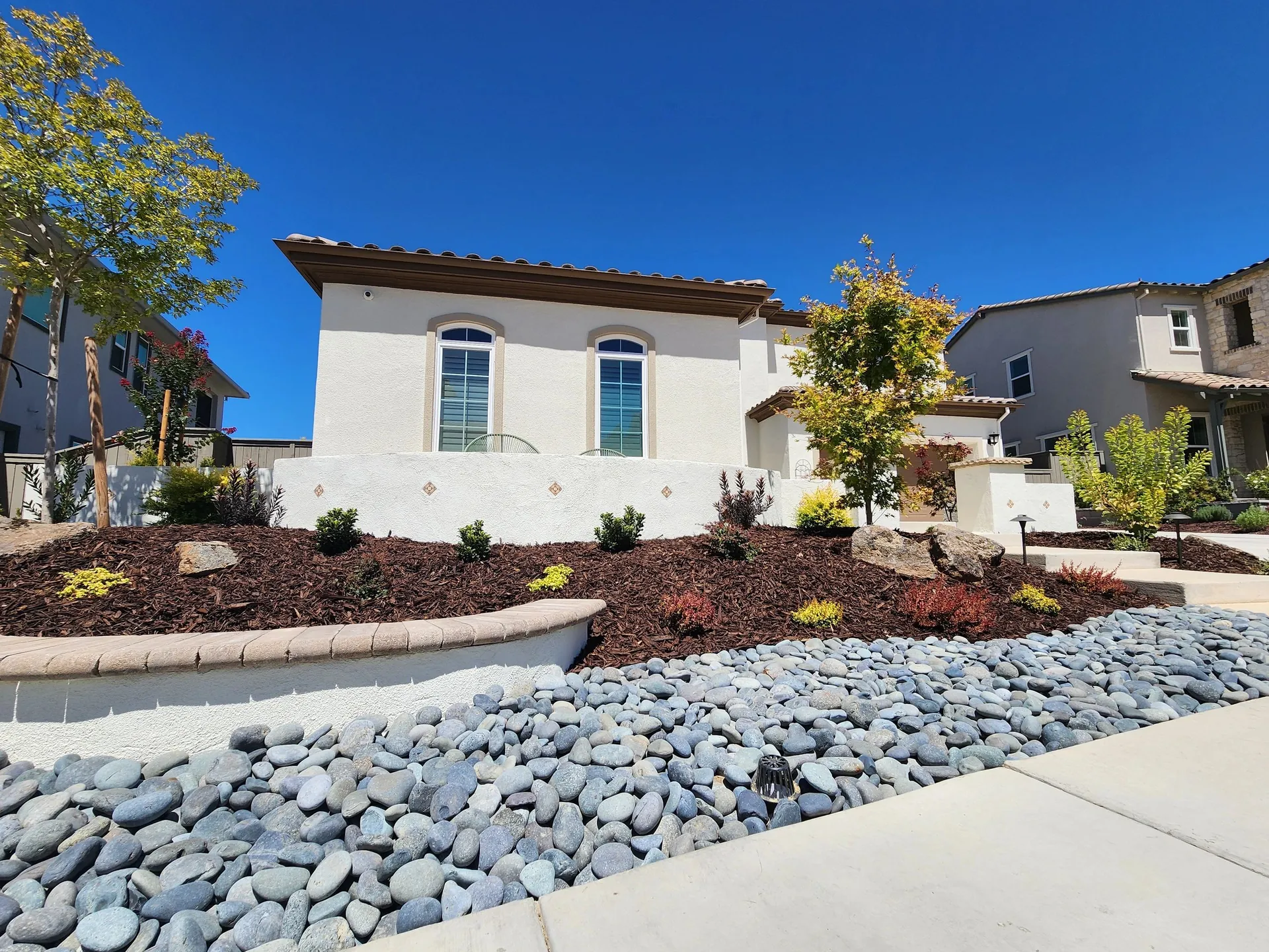 Poolside turf and backyard transformation photo 3
